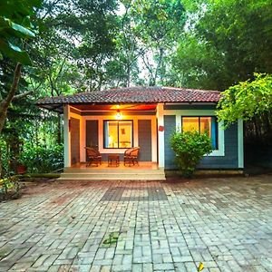 Spezia Private Plantation Bungalow Thekkady By Voye Homes